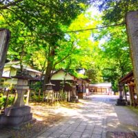 毎日神社に参拝することと引き寄せの関係