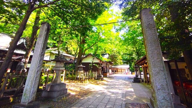 毎日神社に参拝することと引き寄せの関係